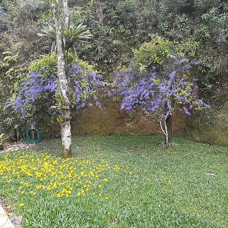 Loft Aconchego Da Serra Petrópolis エクステリア 写真